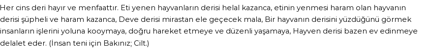 İhya'ya Göre Rüyada Deri Görmek