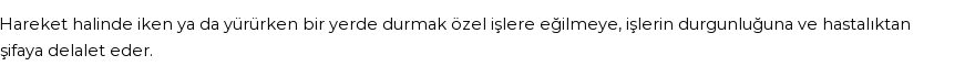 İhya'ya Göre Rüyada Durmak Görmek