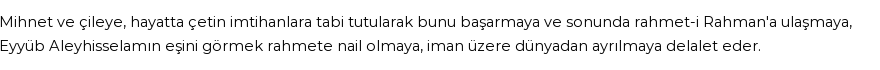 İhya'ya Göre Rüyada Eyyüp (a.s.) Görmek