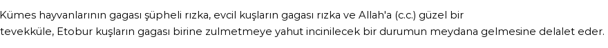 İhya'ya Göre Rüyada Gaga Görmek