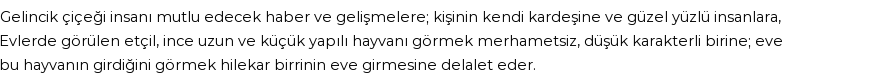 İhya'ya Göre Rüyada Gelincik Görmek