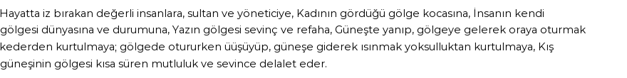 İhya'ya Göre Rüyada Gölge Görmek