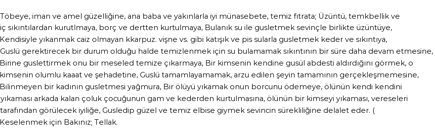 İhya'ya Göre Rüyada Gusül Abdesti Görmek