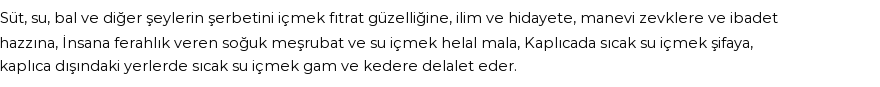 İhya'ya Göre Rüyada İçmek Görmek