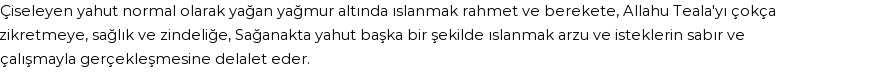 İhya'ya Göre Rüyada Islanmak Görmek