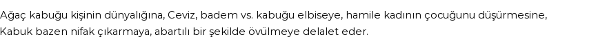 İhya'ya Göre Rüyada Kabuk Görmek