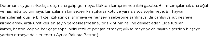 İhya'ya Göre Rüyada Kamçı Görmek