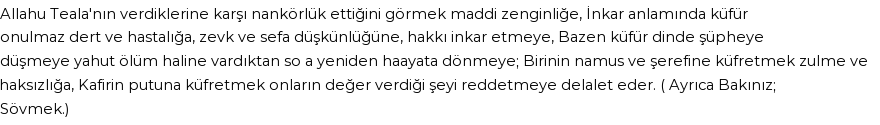 İhya'ya Göre Rüyada Küfür, Küfretmek Görmek