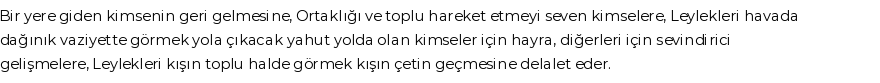 İhya'ya Göre Rüyada Leylek Görmek