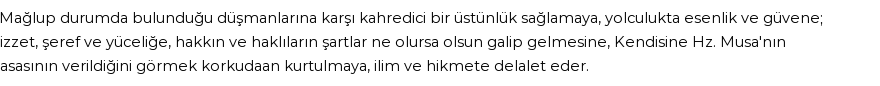 İhya'ya Göre Rüyada Musa (a.s.) Görmek