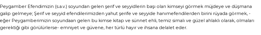 İhya'ya Göre Rüyada Nakibi`l Eşraf Görmek