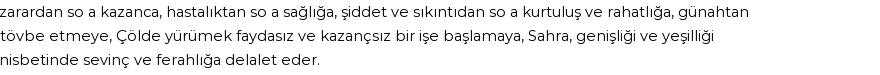 İhya'ya Göre Rüyada Sahra Görmek