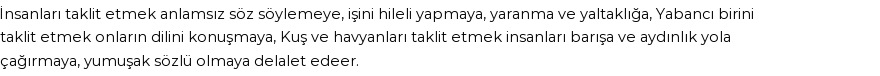 İhya'ya Göre Rüyada Taklit Etmek Görmek