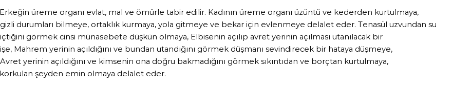 İhya'ya Göre Rüyada Üreme Organı Görmek