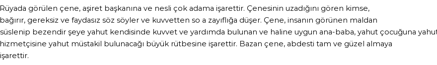 Molla Cami'ye Göre Rüyada Çene Görmek