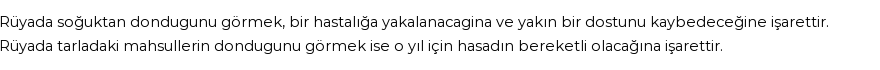 Molla Cami'ye Göre Rüyada Donmak Görmek