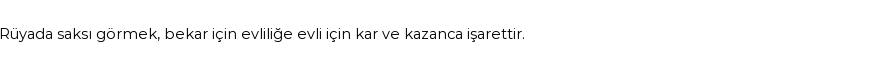 Molla Cami'ye Göre Rüyada Saksı Görmek