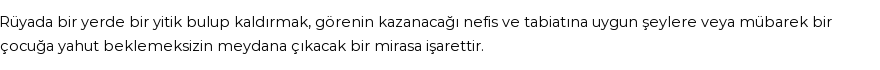 Molla Cami'ye Göre Rüyada Yitik Görmek