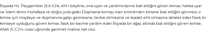 Nablusi'ye Göre Rüyada Biat Etmek Görmek
