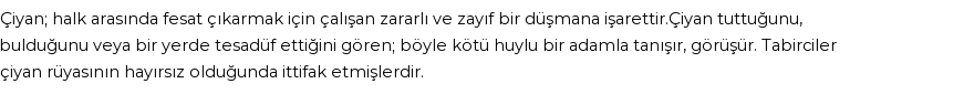 Seyyid Süleyman'a Göre Rüyada Çıyan Görmek