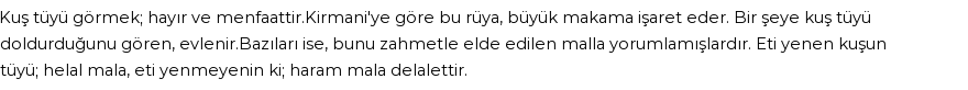 Seyyid Süleyman'a Göre Rüyada Kuş Tüyü Görmek