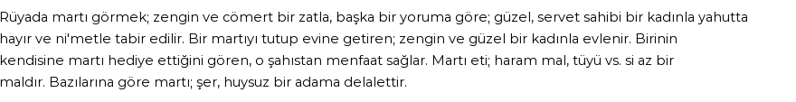 Seyyid Süleyman'a Göre Rüyada Martı Görmek