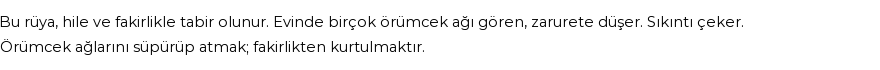 Seyyid Süleyman'a Göre Rüyada Örümcek Ağı Görmek